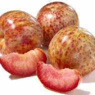 Гібриди плодові